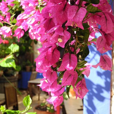 Hotel Casa Bougainvillea Soller Exterior photo